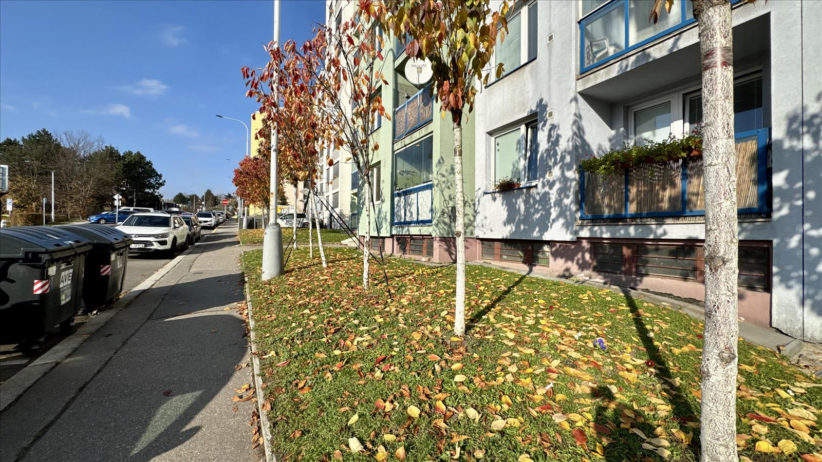 638995476826973711_DJI_20251108_124332_531 (1).jpg